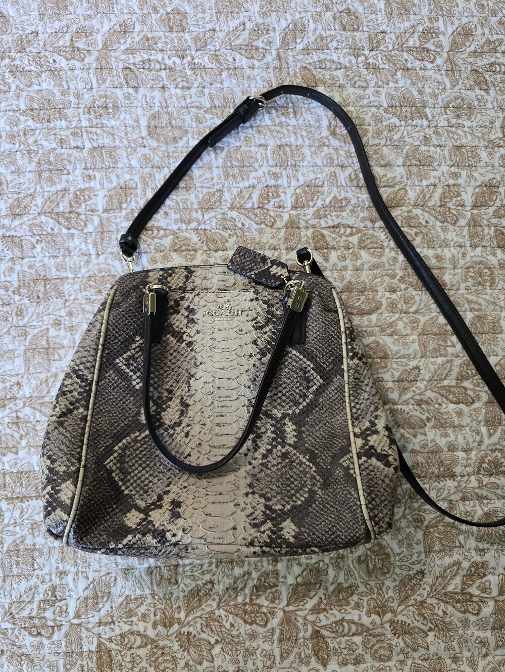 Coach Python-Print Crossbody Satchel - Black and Cream